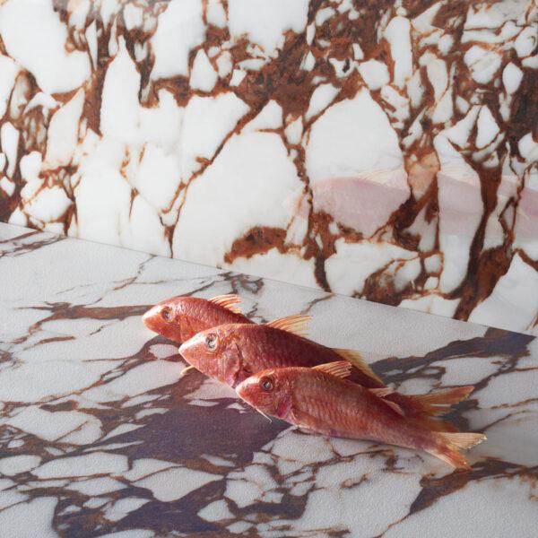 Pulp Red Honed