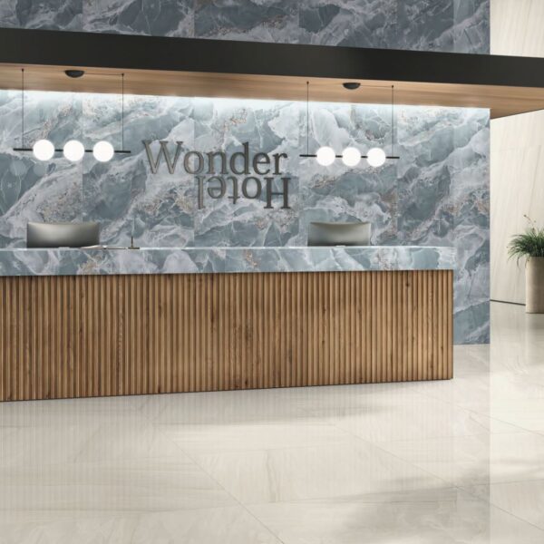 Anima Wonder Ocean