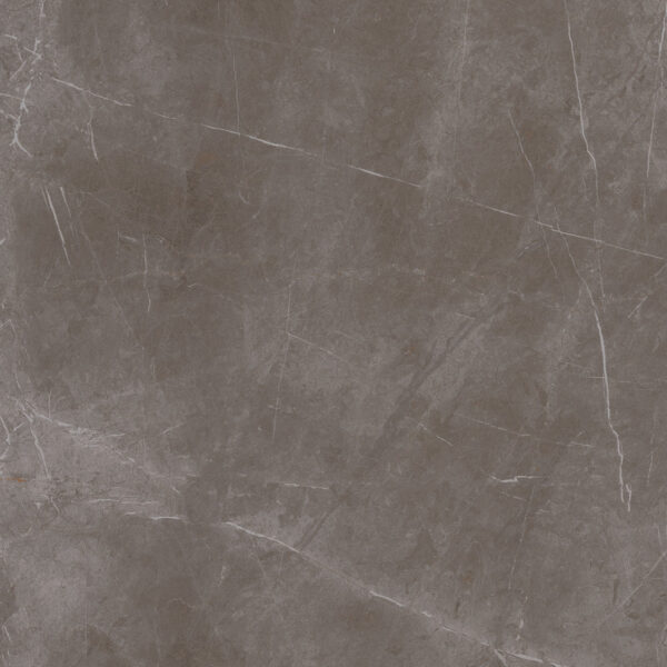 Evolution Grey